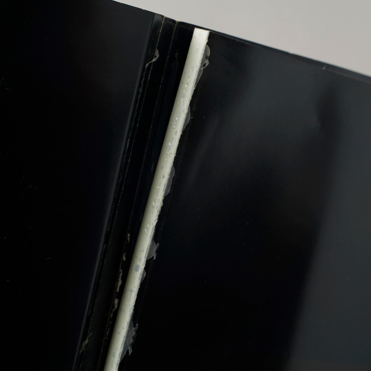 Photographs / Rankin(ランキン) | bookobscura｜写真集専門書