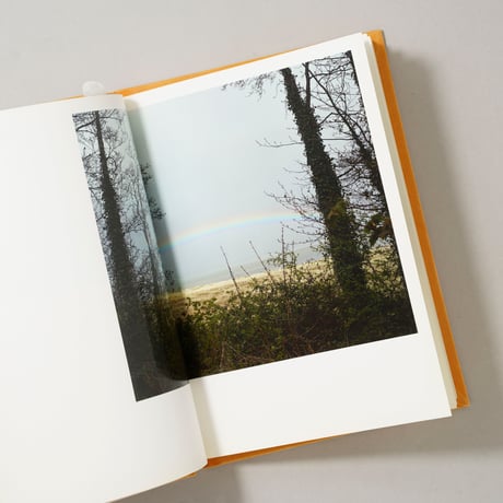 Does Yellow Run Forever? / Paul Graham(ポール・グラハム)