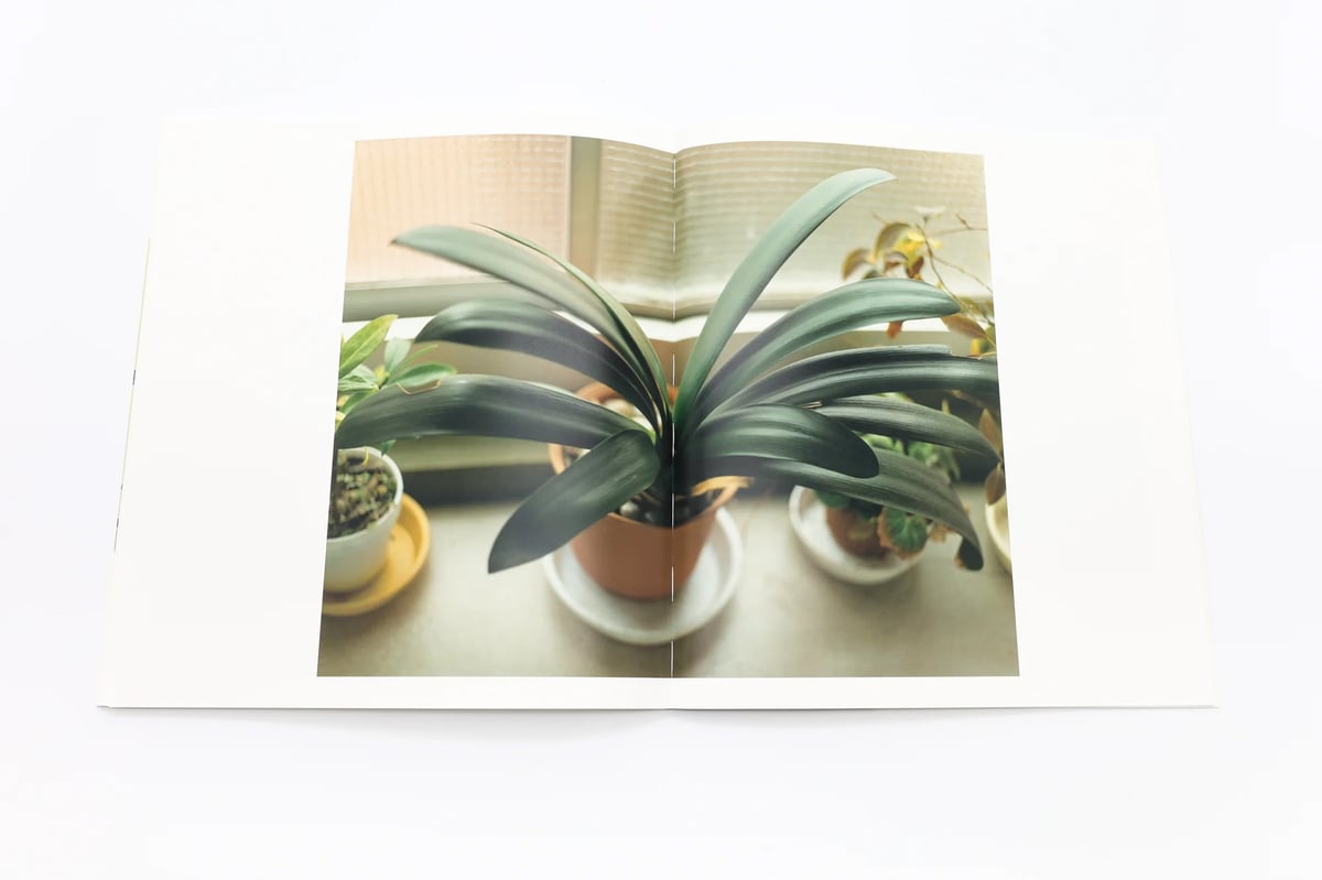 生きている / 佐内正史 Masafumi Sanai 復刊 生きている / 佐内正史(Masafumi Sanai) | bookobscura｜写