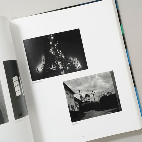 James Welling: Monograph / James Welling(ジェームズ・ウェリング)