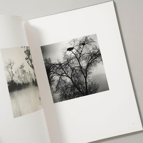 DES OISEAUX / Michael Kenna(マイケル・ケンナ)