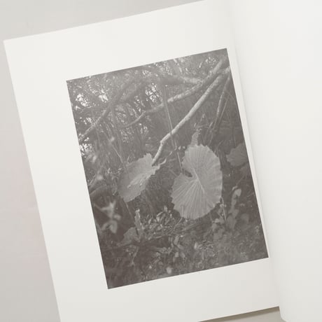 [新刊/New] 火曜日 / 富澤大輔(Daisuke Tomizawa)