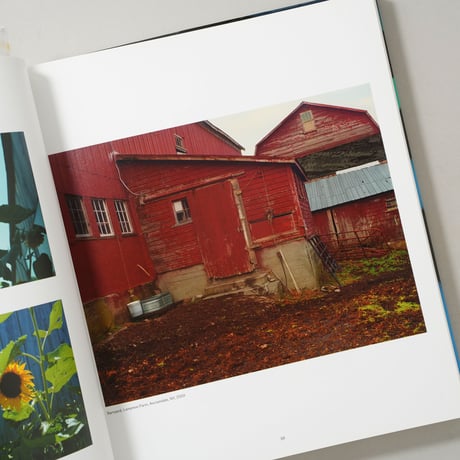 James Welling: Monograph / James Welling(ジェームズ・ウェリング)