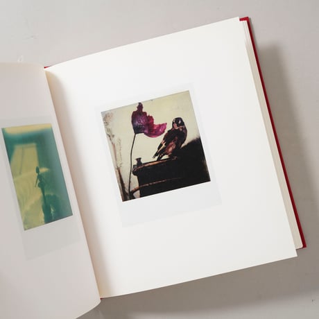 Die Polaroids The Polaroids / Sibylle Bergemann（ズィビレ・ベルゲマン）