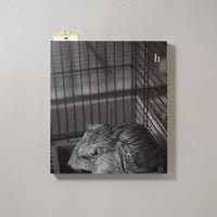 光あるうちに 現の闇 2冊セット / 原芳市(Yoshiichi Hara)