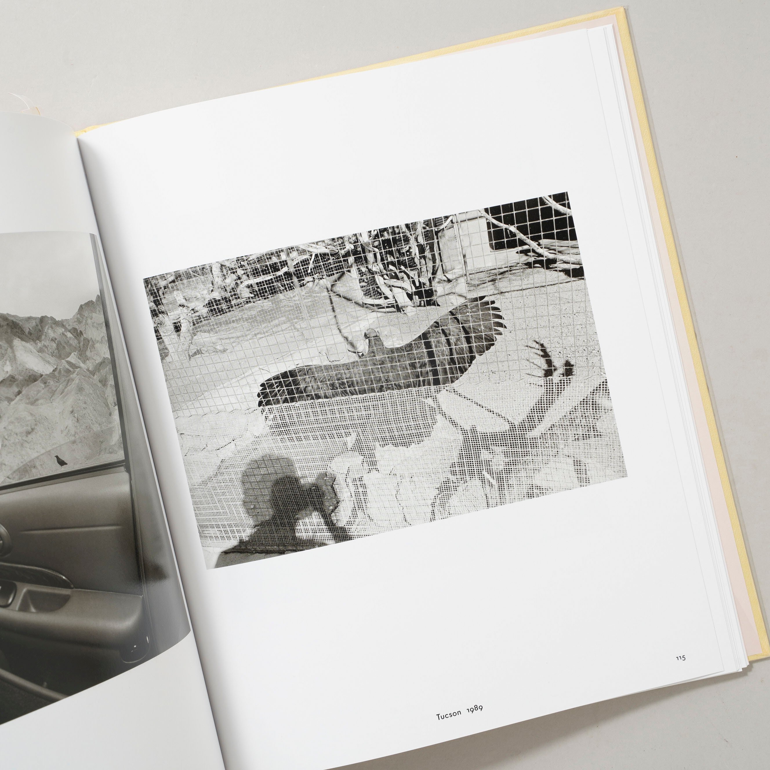 新刊/New] LIFE STILL / Lee Friedlander(リー・フリードラン