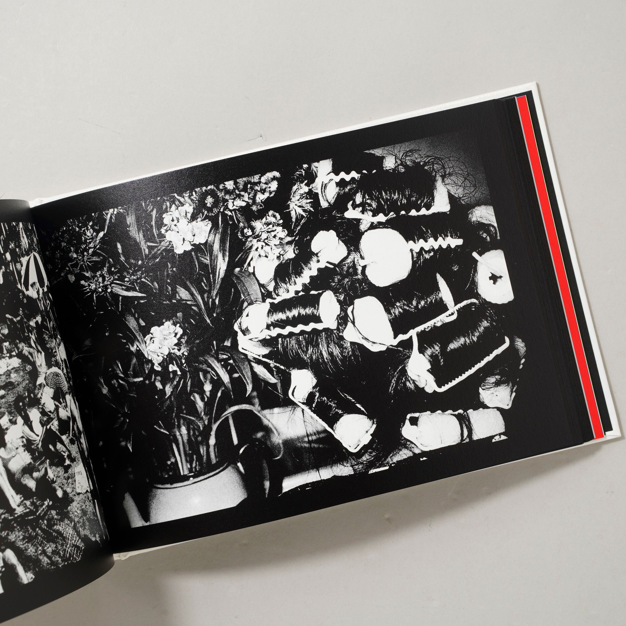 DAIDO SLIDE MXM / 森山大道(Daido Moriyama) | bookob