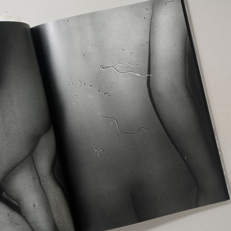 CORPUS / 横田大輔(Daisuke Yokota) | bookobscura｜写真集