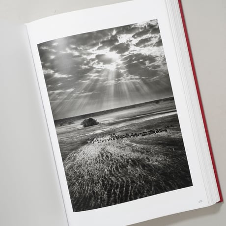 GENESIS / Sebastiao Salgado (セバスチャン・サルガド)