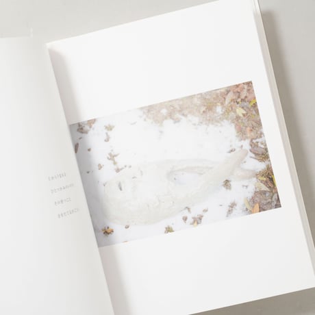 きらきら / 川内倫子(Rinko Kawauchi)、イマムラレイコ(Reiko Imamura)