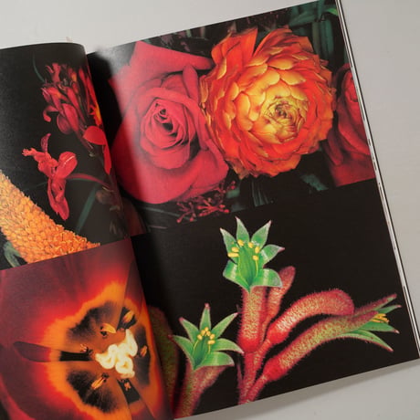 花人生 / 荒木経惟(Nobuyoshi Araki)