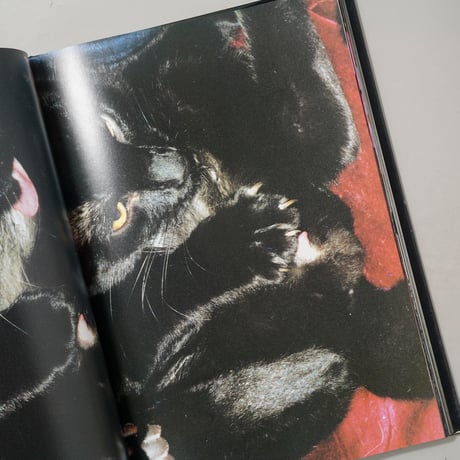 Hysteric glamour / Terry Richardson(テリー・リチャードソン)