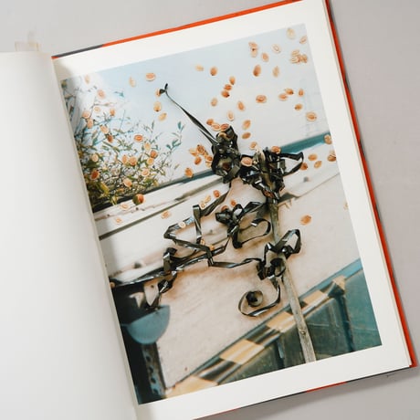 [サイン入/Signed] HACKNEY FLOWERS / Stephen Gill(スティーブン・ギル)