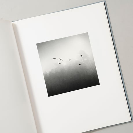 DES OISEAUX / Michael Kenna(マイケル・ケンナ)