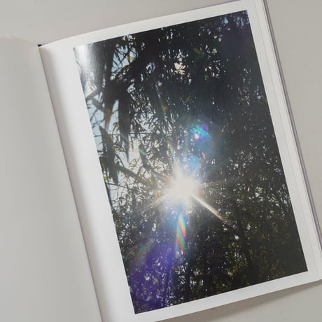 Des oiseaux (On birds) / 川内倫子(Rinko Kawauchi)