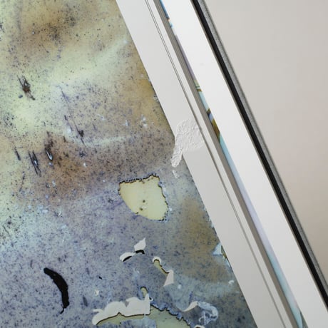 Color Photographs / 横田大輔(Daisuke Yokota)