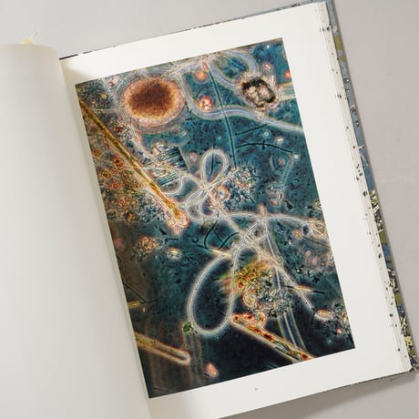 [サイン入/Signed] Coexistence / Stephen Gill(スティーブン・ギル)