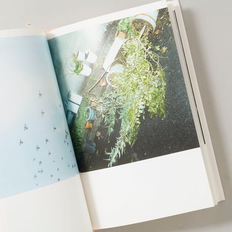 the eyes, the ears, / 川内倫子(Rinko Kawauchi)