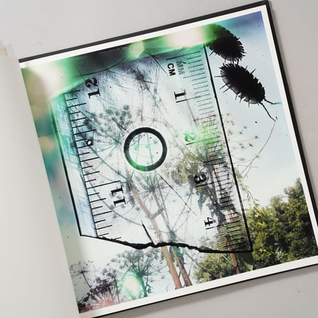 [サイン入/Signed] Talking to Ants / Stephen Gill(スティーブン・ギル)