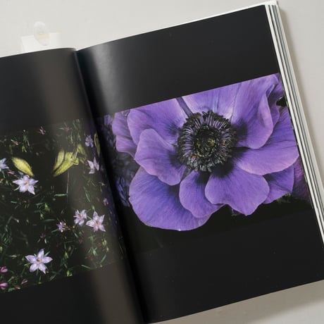 Araki. 45th Ed. / 荒木経惟(Nobuyoshi Araki)