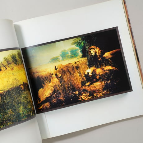 Historia Artificial / Joan Fontcuberta(ジョアン・フォンクベルタ)