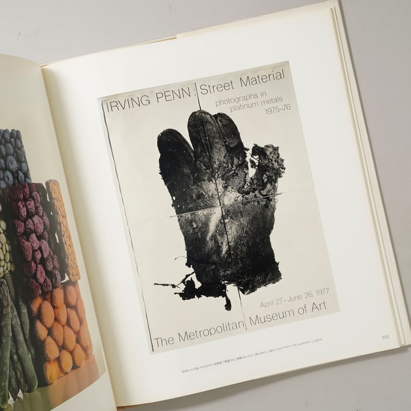 PASSAGE / Irving Penn(アーヴィング・ペン) | bookobscura｜