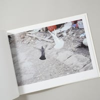 [サイン入/Signed] 光と影 / 川内倫子(Rinko Kawauchi)