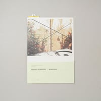 anemone / 熊谷直子(Naoko Kumagai)