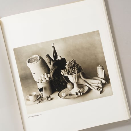 Platinum Prints / Irving Penn(アーヴィング・ペン)