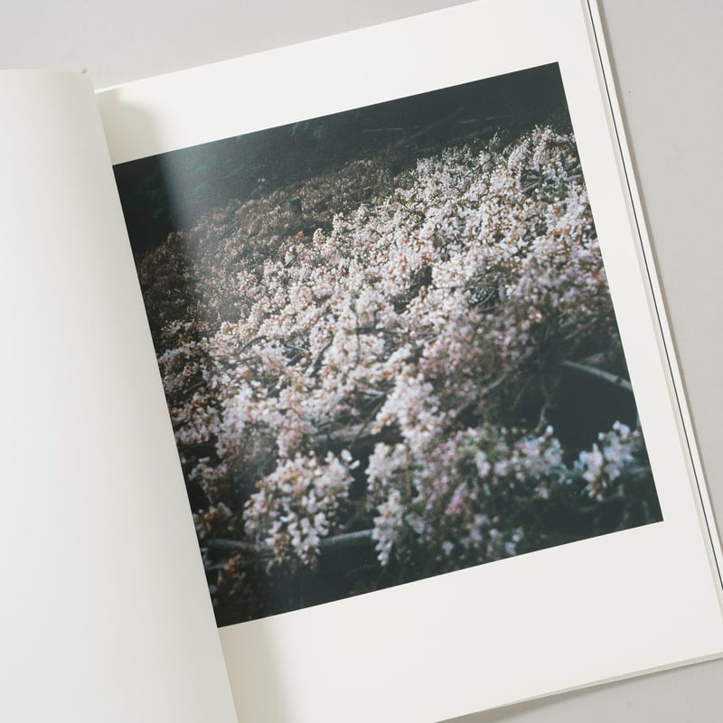 CATEGORY ー japanese | bookobscura｜写真集専門書店｜写真家によ