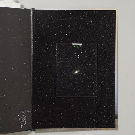 [サイン入/Signed] In The Vicinity / Ed Panar(エド・パナル)