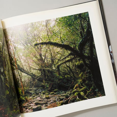 Thomas Struth: Photographs 1978-2010 / Thomas Struth(トーマス・シュトゥルート)