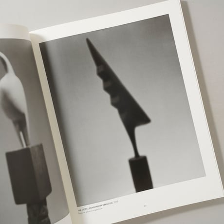 ahiers D'Art 100th issue (38th Year N.1 2014) / 杉本博司(Hiroshi Sugimoto)