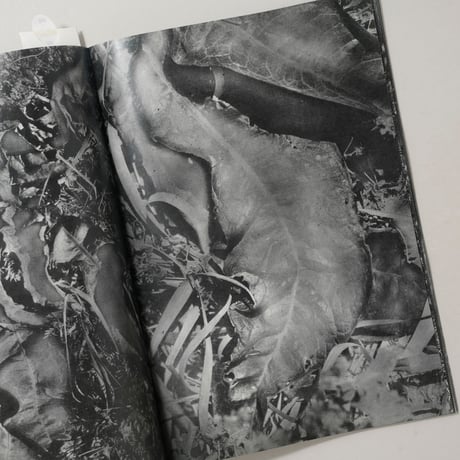 [新刊サイン入/New,Signed] 植物、暗室のための習作 / 横田大輔(Daisuke Yokota)