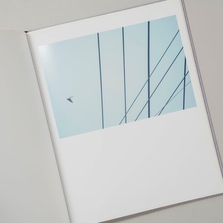 Des oiseaux (On birds) / 川内倫子(Rinko Kawauchi)