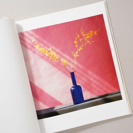 Flowers / Robert Mapplethorpe(ロバート・メイプルソープ)