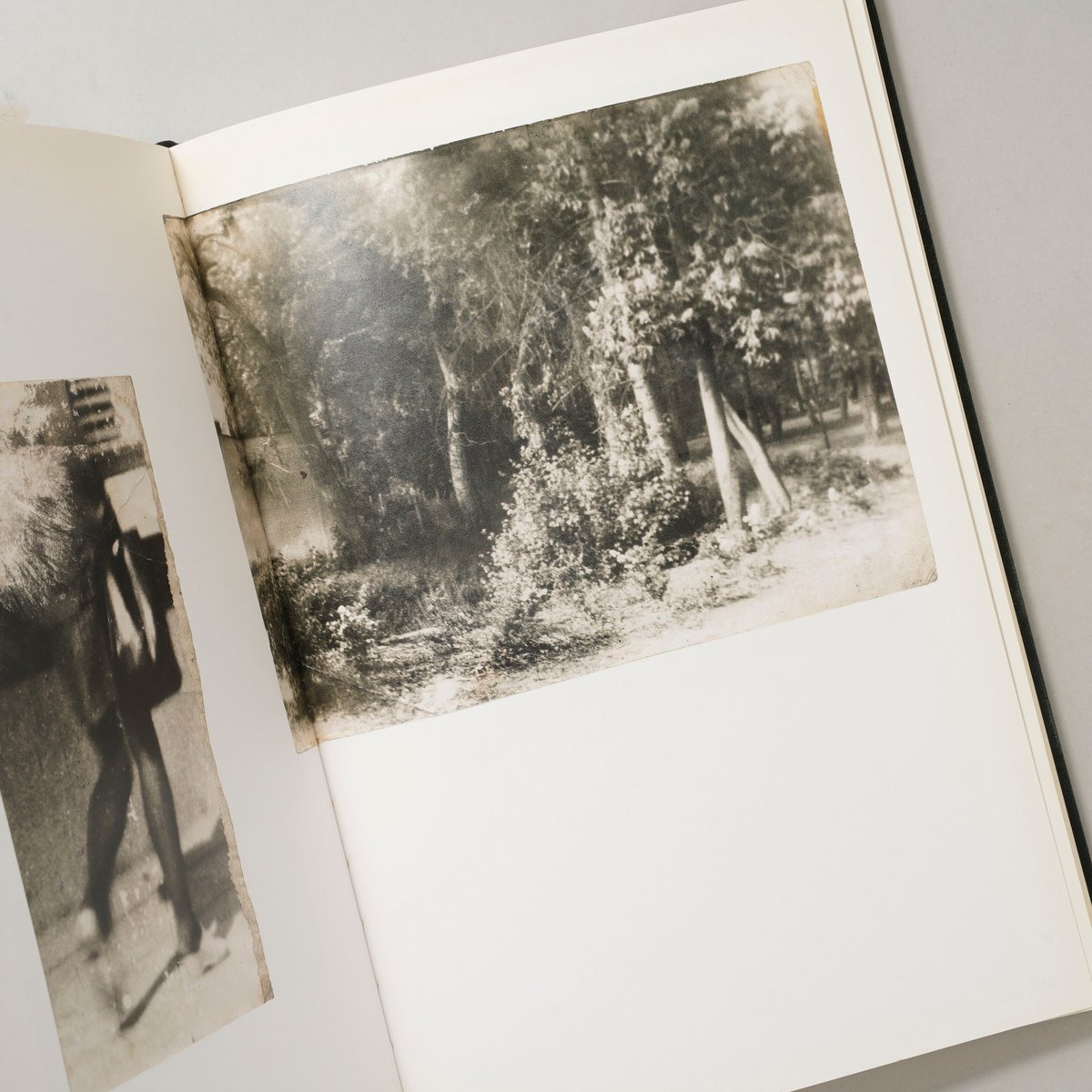 Miroslav Tichy / Miroslav Tichy(ミロスラフ・ティッシー) |