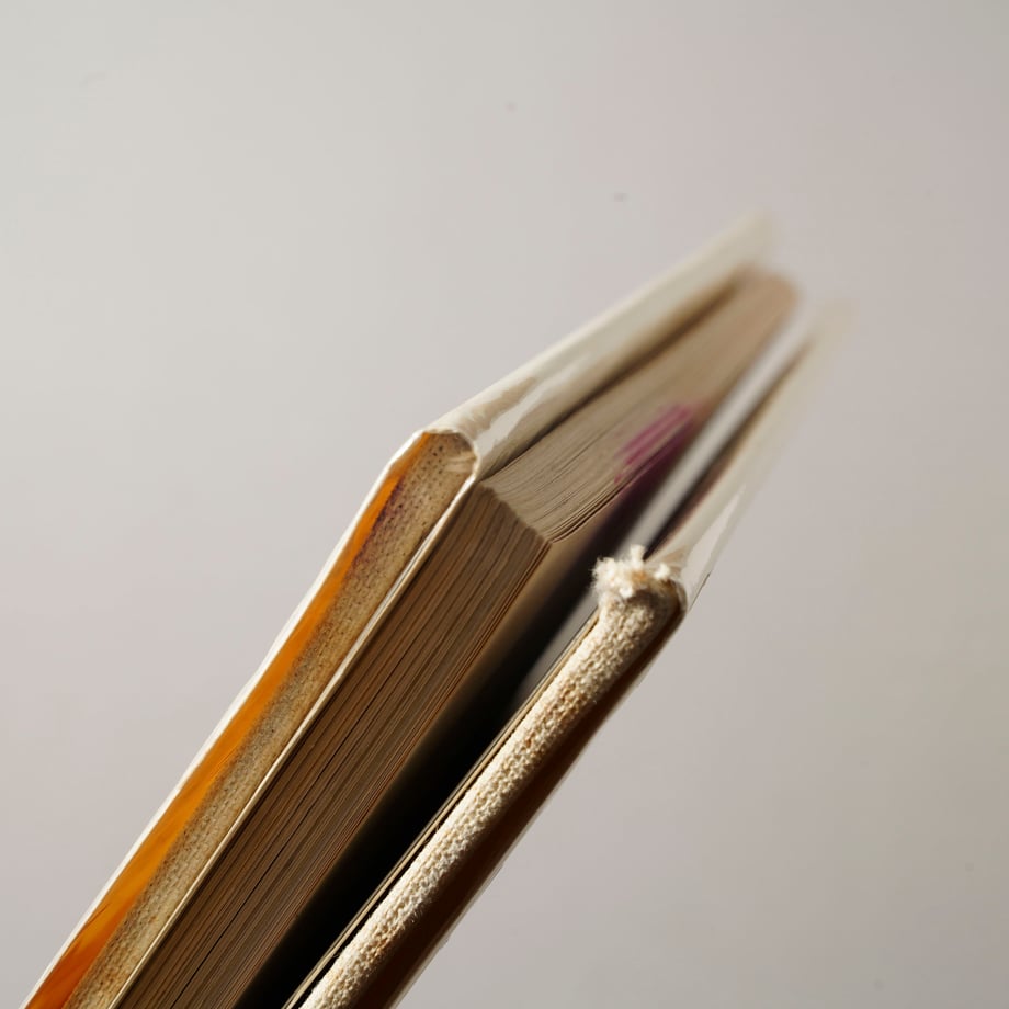 655c88f7e7c5ab0037aa8681