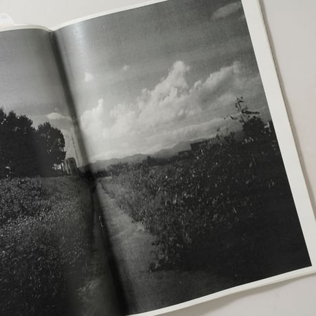 [新刊サイン入/New,Signed] Matter 2024 / 横田大輔(Daisuke Yokota)