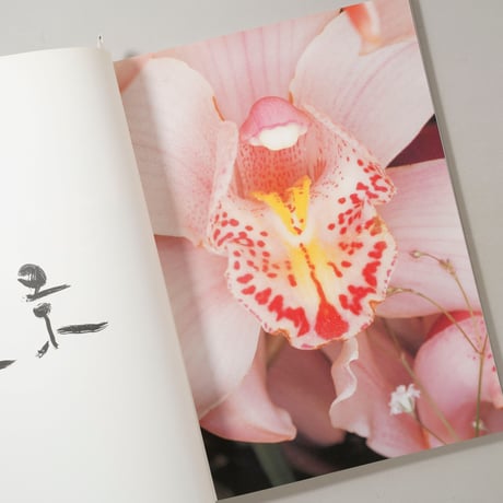 花人生 / 荒木経惟(Nobuyoshi Araki)