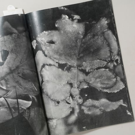 [新刊サイン入/New,Signed] 植物、暗室のための習作 / 横田大輔(Daisuke Yokota)