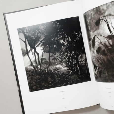 Celestial Nights / Neil Folberg(ニール・フォルバーグ)
