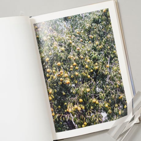 [サイン入/Signed] In The Vicinity / Ed Panar(エド・パナル)