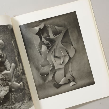SOMMER・WORDS/IMAGES / Frederick Sommer(フレデリック・サマー)