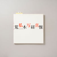 私写真 / 荒木経惟(Nobuyoshi Araki)