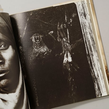 The End of the Game / Peter Beard(ピーター・ビアード)