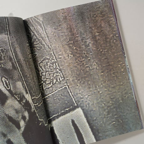Berlin / 横田大輔(Daisuke Yokota)