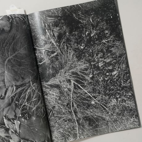 [新刊サイン入/New,Signed] 植物、暗室のための習作 / 横田大輔(Daisuke Yokota)