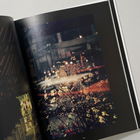 まだ見ぬソール・ライター / Saul Leiter(ソール・ライター)