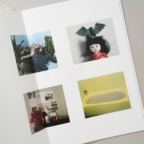 梅ヶ丘墓情 / 荒木経惟(Nobuyoshi Araki)